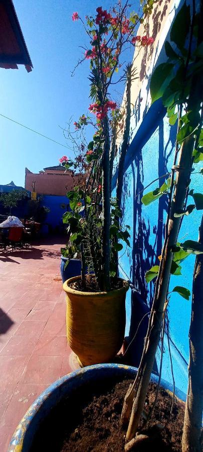 Riad Mamma House Couette-café Marrakesh